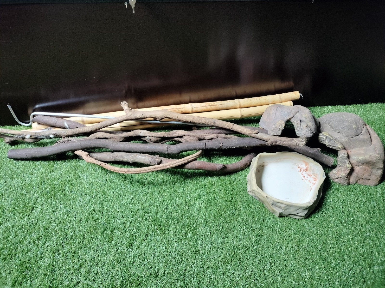Terrarium inrichting, hout Grotjes waterbak, Amfibie, 0 tot 2 jaar