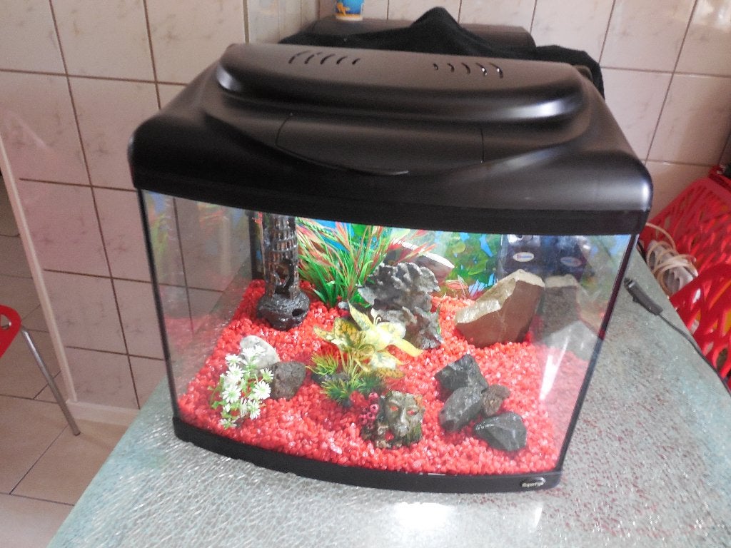 compleet aqua 60 superfish aquarium met toebehoren, Dieren en Toebehoren, Vissen | Aquaria en Toebehoren, Ophalen, Gebruikt, Leeg aquarium