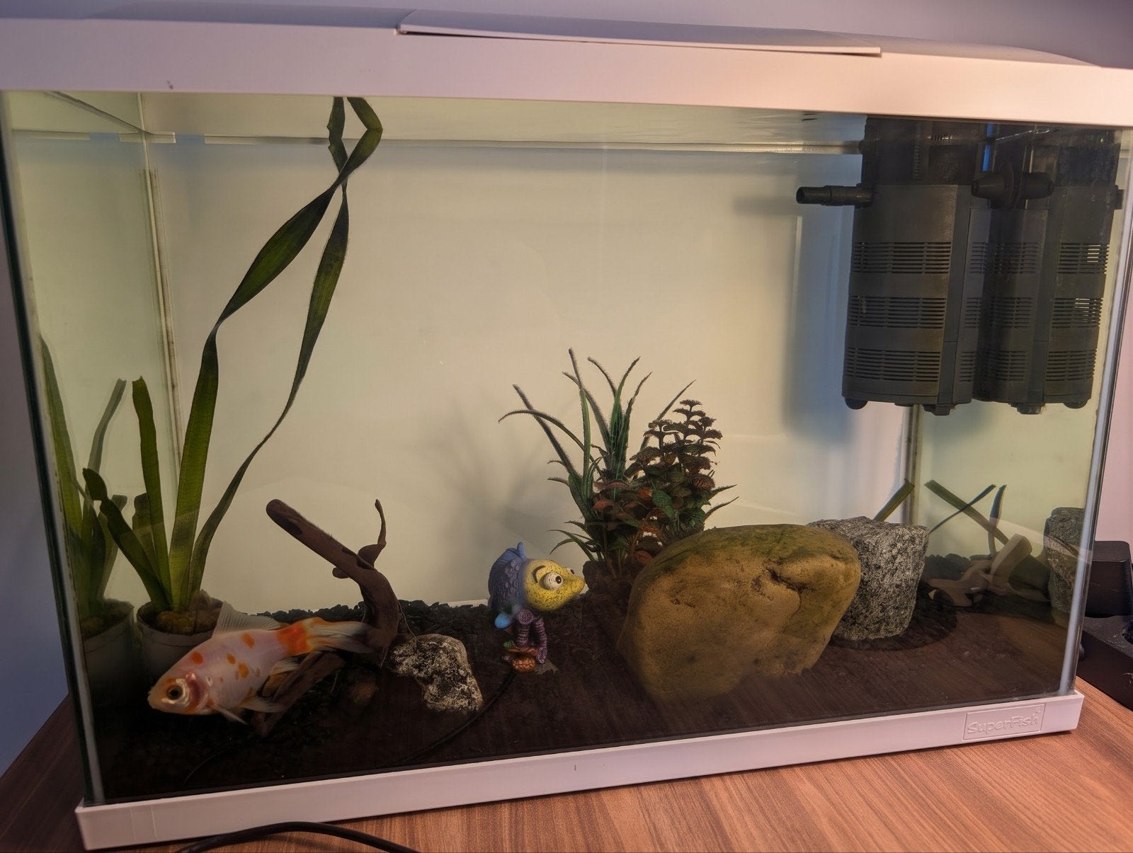 Superfish 70 Aquariumset + toebehoren, Dieren en Toebehoren, Ophalen, Gebruikt, Leeg aquarium, Superfish