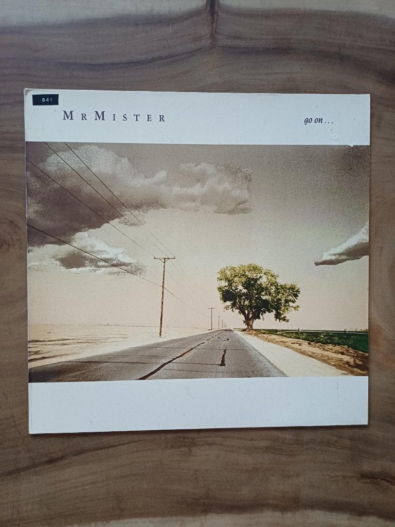 Mr. Mister - Go on... - Vinyl, Ophalen of Verzenden, Gebruikt