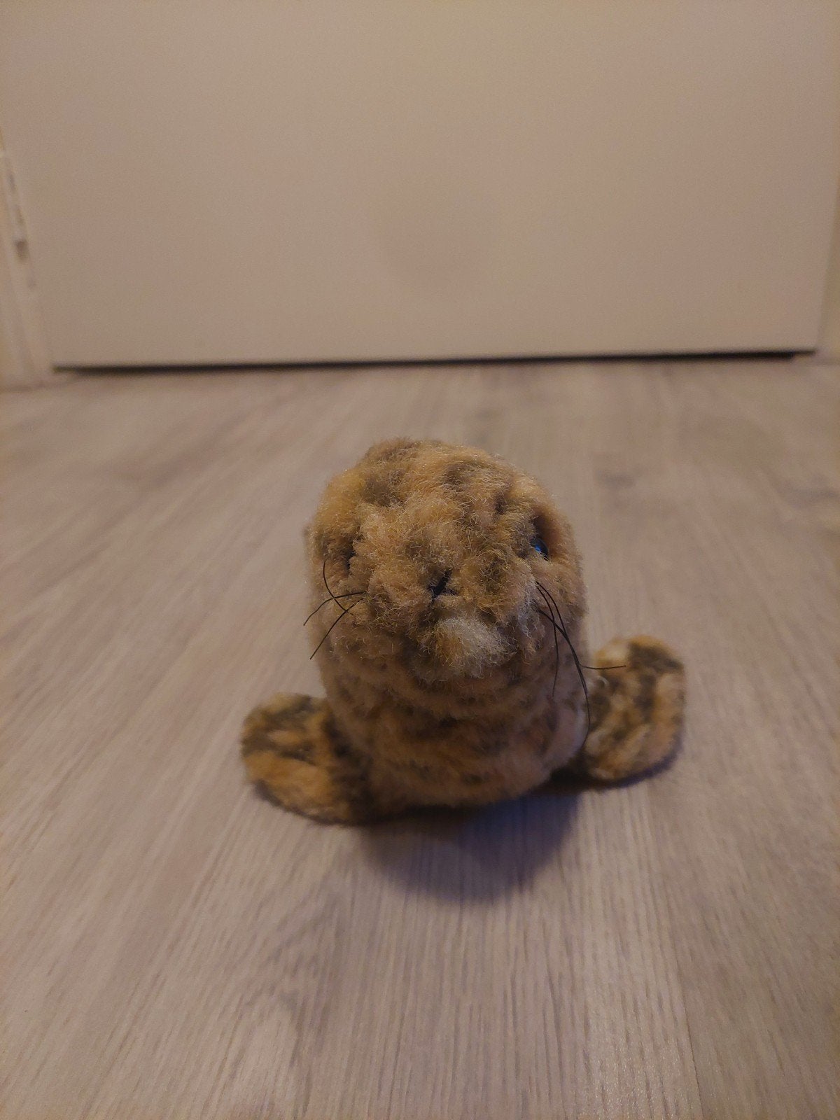 Schattige zeehond knuffel - 30 cm, Ophalen, Gebruikt, Overige typen, Middelgroot (20 tot 80 cm)