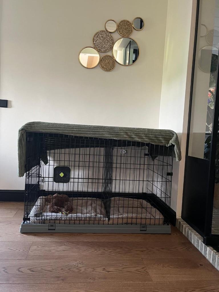 Reisbench grote hond, Dieren en Toebehoren, Ophalen, Zo goed als nieuw