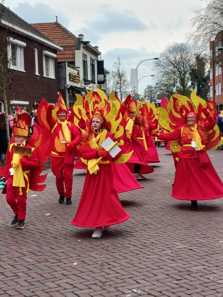 carnavalsgroep Wij gaan vlammen, Ophalen of Verzenden, Zo goed als nieuw, Maat 42/44 (L), Carnaval