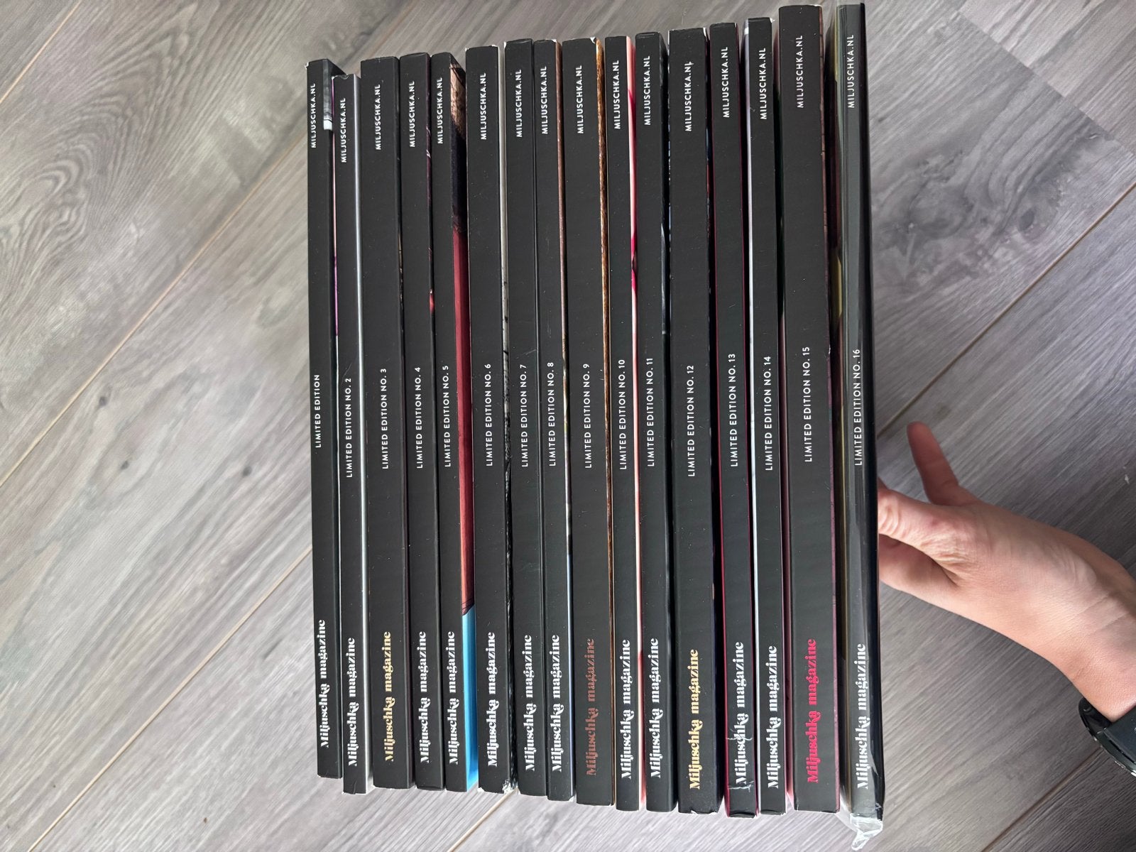 Miljuscka magazine - 16 tijdschriften, Ophalen of Verzenden, Zo goed als nieuw, Glossy