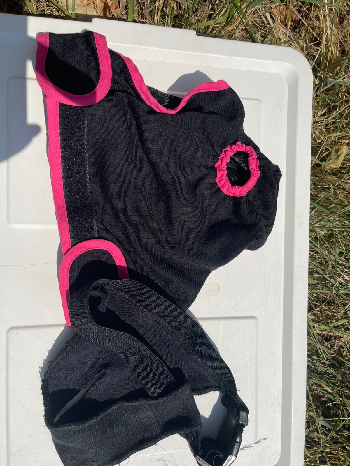 2 Loopsheid broekjes hond maat XL, Ophalen of Verzenden, Nieuw