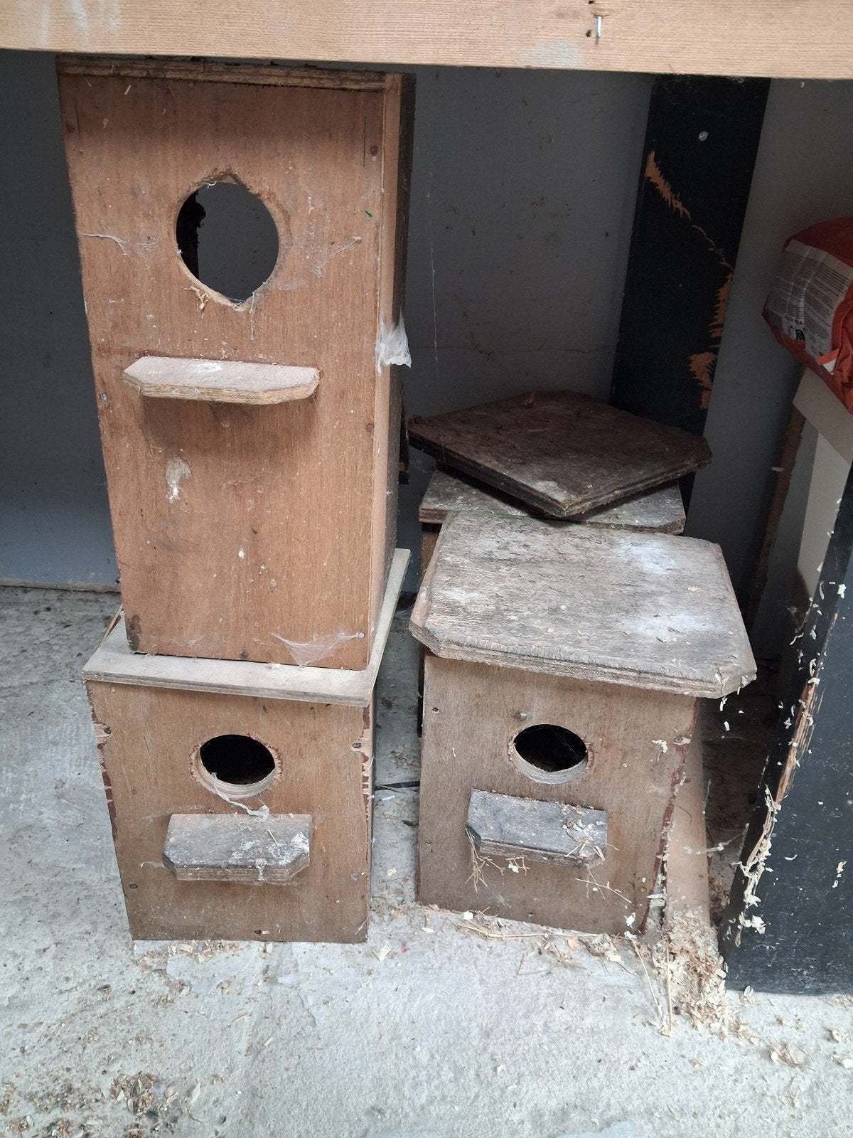 4 broedblokken vandaag 20 euri, Ophalen, Hout, Broedkooi of Kweekkooi