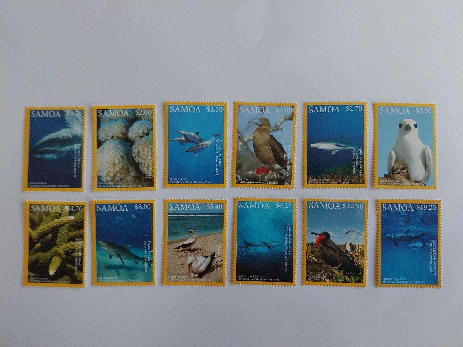 Samoa 1282-1293 dieren/vogels 2016 postfris mi 57 eu, Ophalen of Verzenden, Dier of Natuur