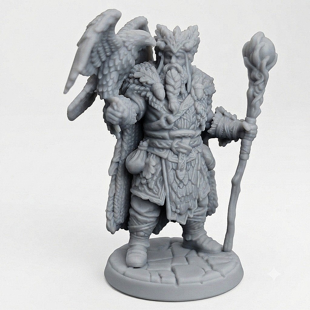 Druid Miniature D&D HQ dungeon's and dragons, Ophalen of Verzenden, Overige soorten