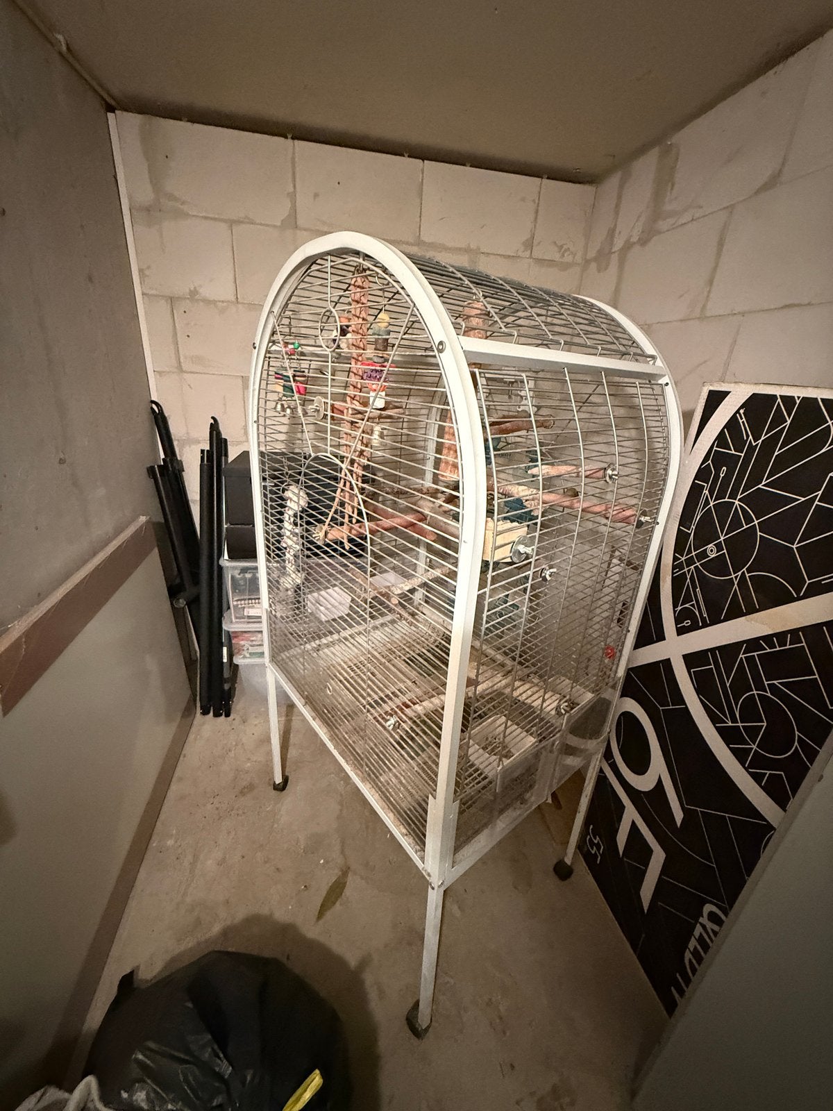 Kooi papegaai, Ophalen, Gebruikt, Metaal, Vogelkooi