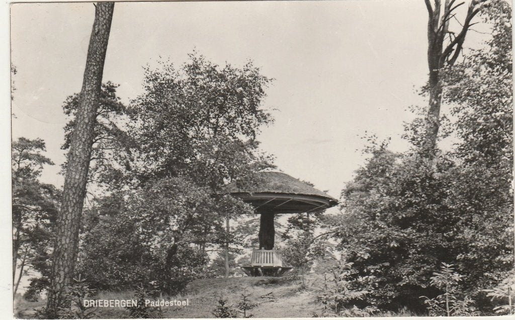 DRIEBERGEN Paddestoel, Verzenden, 1960 tot 1980, Gelopen, Utrecht