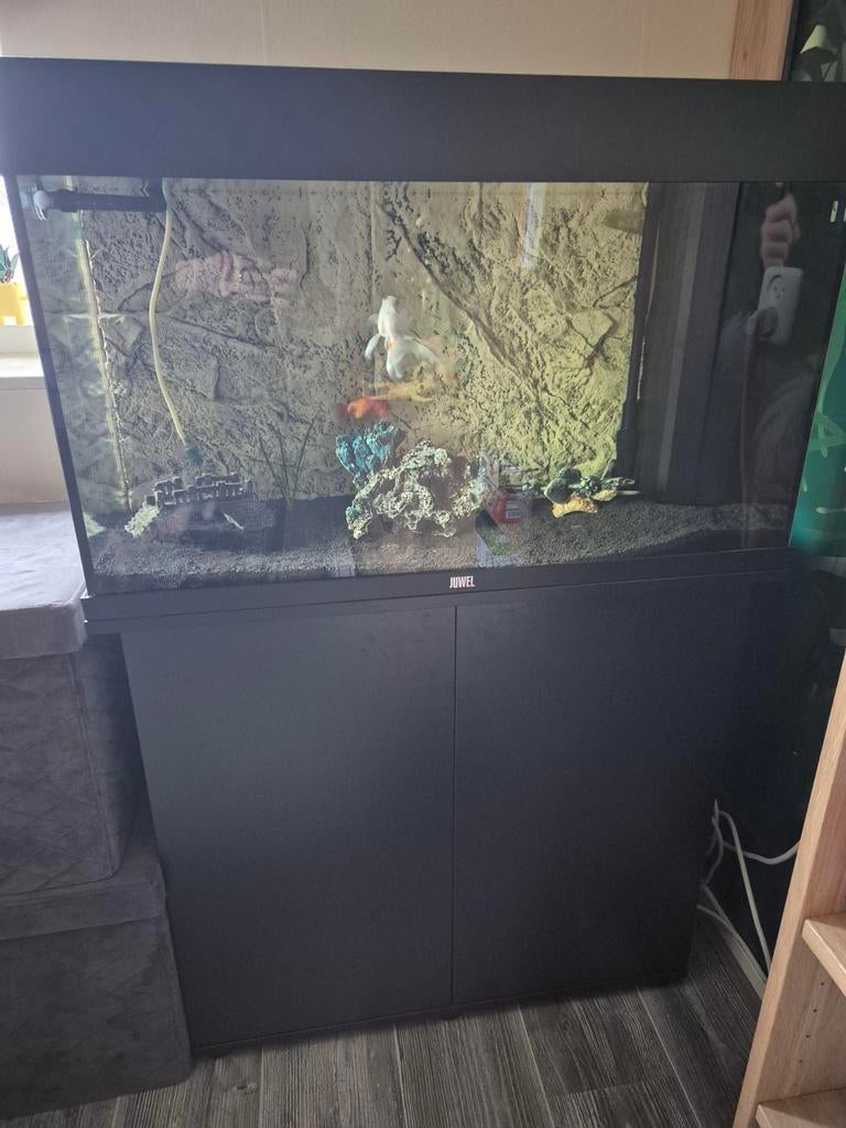 Aqarium met toebehoren., Ophalen, Zo goed als nieuw