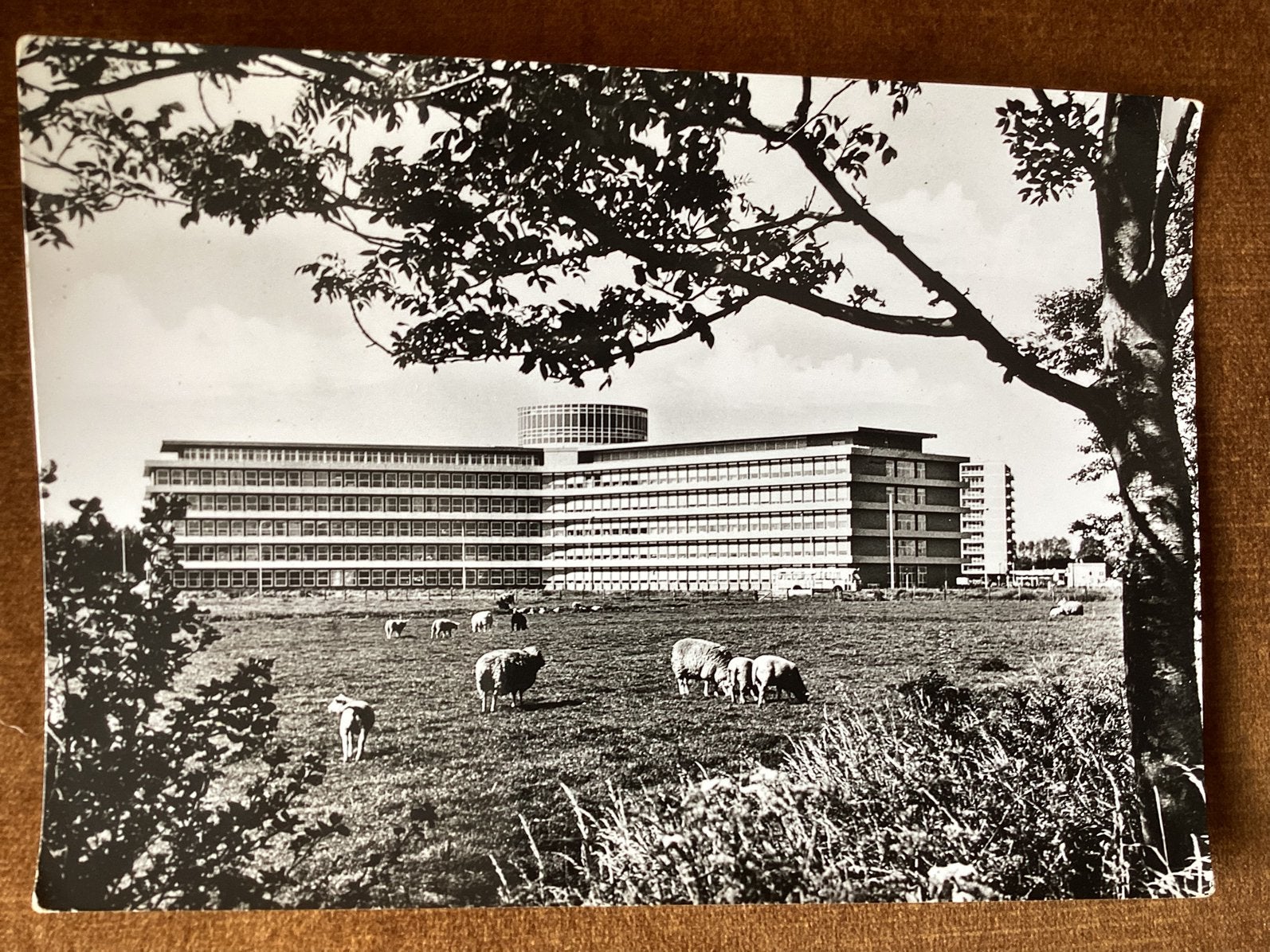 Leiderdorp. Simon Smitweg. St. Elisabeth-ziekenhuis, Verzamelen, Ansichtkaarten | Nederland, Ophalen of Verzenden, 1960 tot 1980