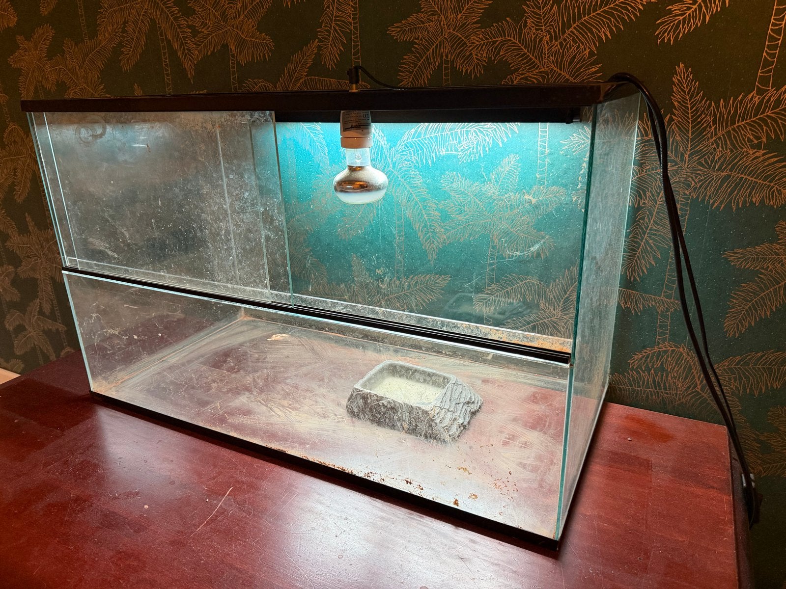Terrarium, Ophalen, Gebruikt, Terrarium of Paludarium