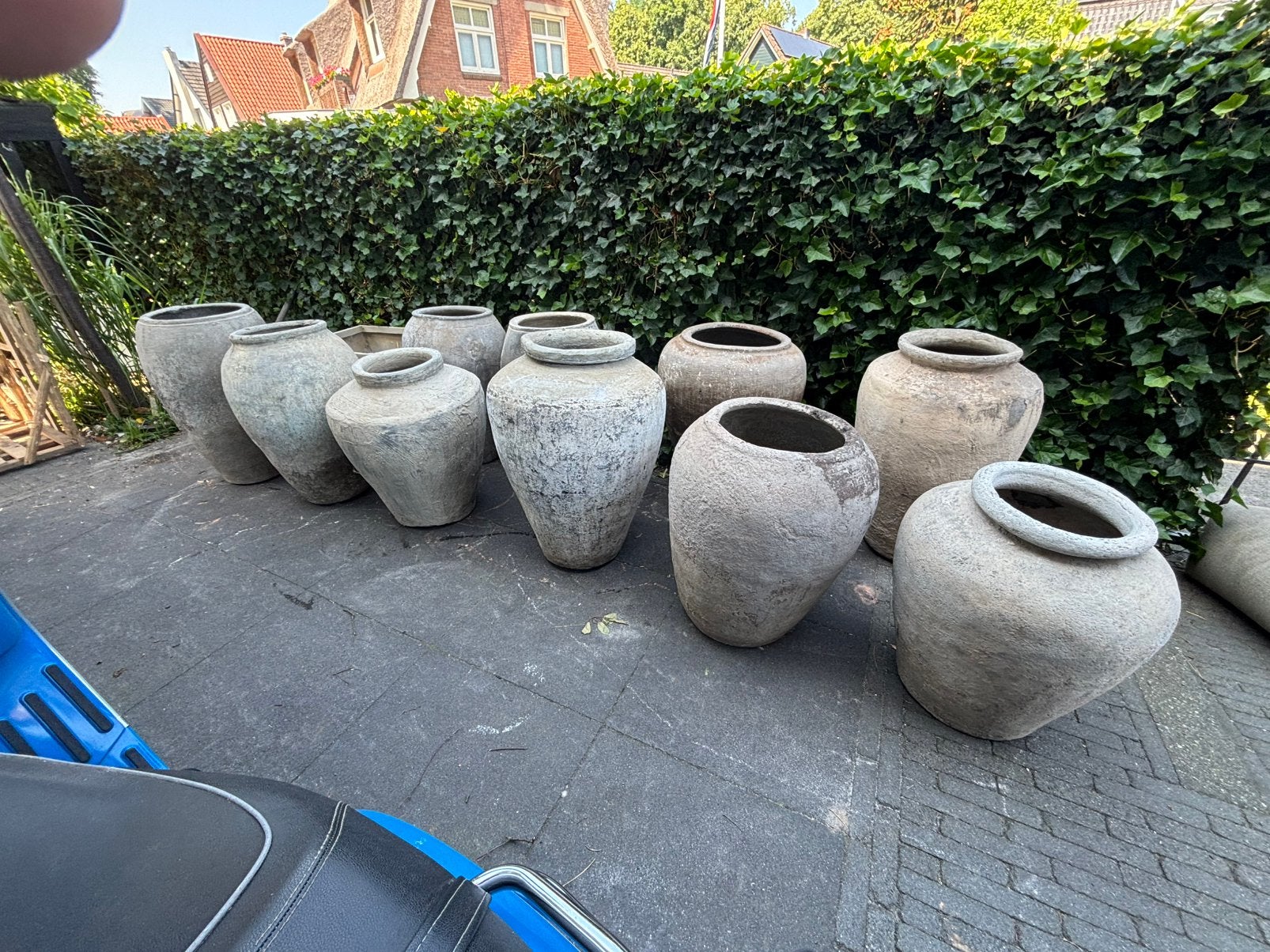 Oude potten olijfboom olijfpot antieke pot, Ophalen