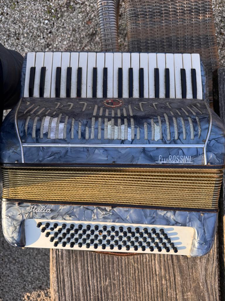 Accordeon  opknapper, Muziek en Instrumenten, Accordeons, Gebruikt, 80-bas, Overige merken, Met riemen, Ophalen