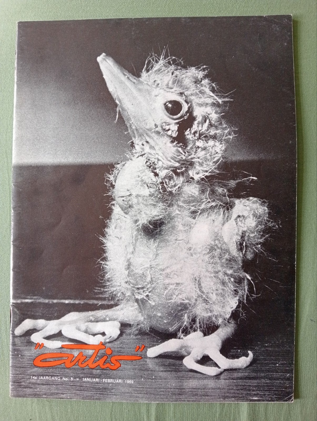Artis Magazine - Januari-Februari 1989 - Woudaapje, Ophalen of Verzenden, Gelezen, Wetenschap en Natuur