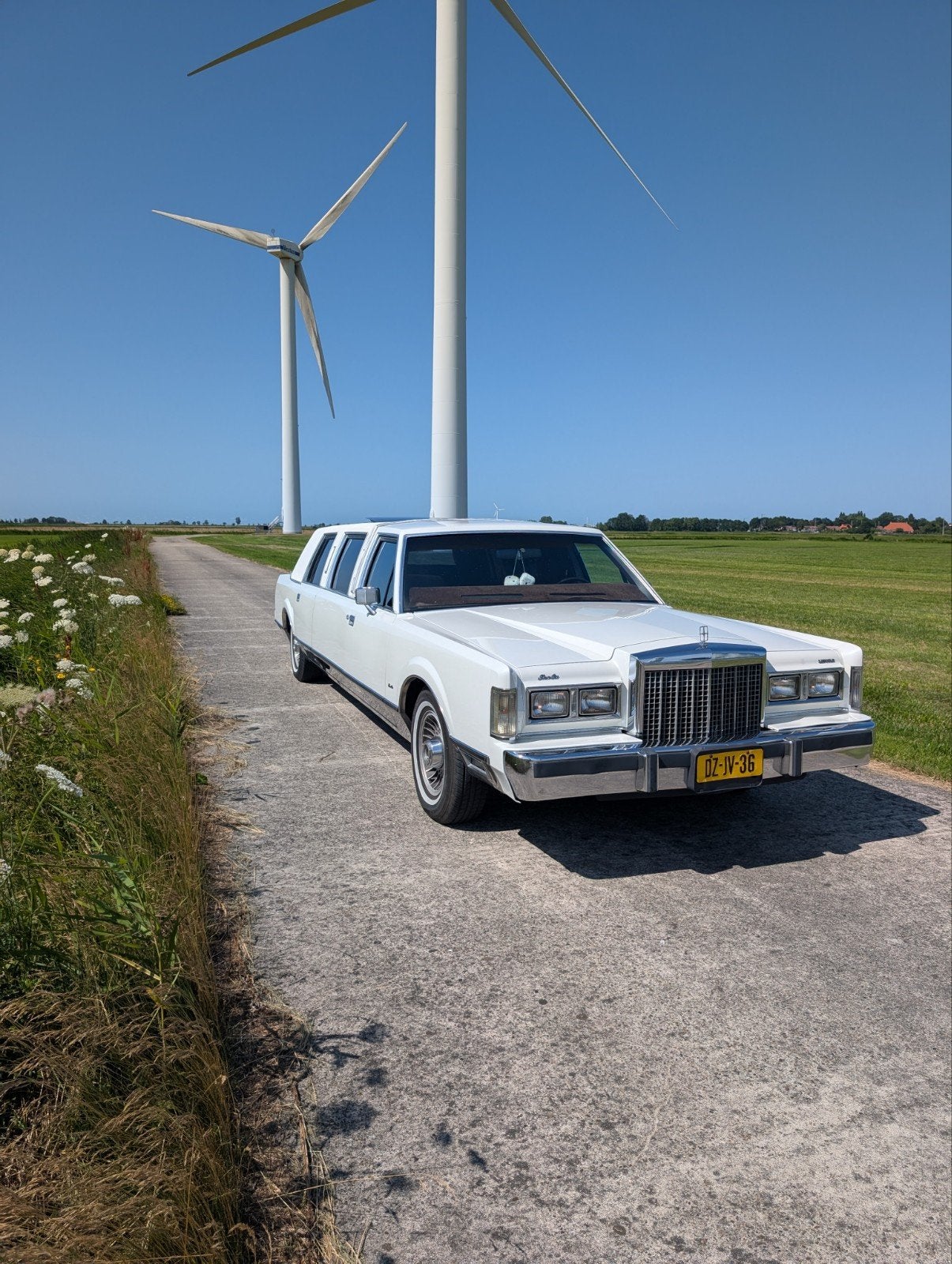 Lincoln Town Car Limousine 1985 | 5.0 V8 | APK 11-2026, Town Car, Wit, Particulier, 2440 kg