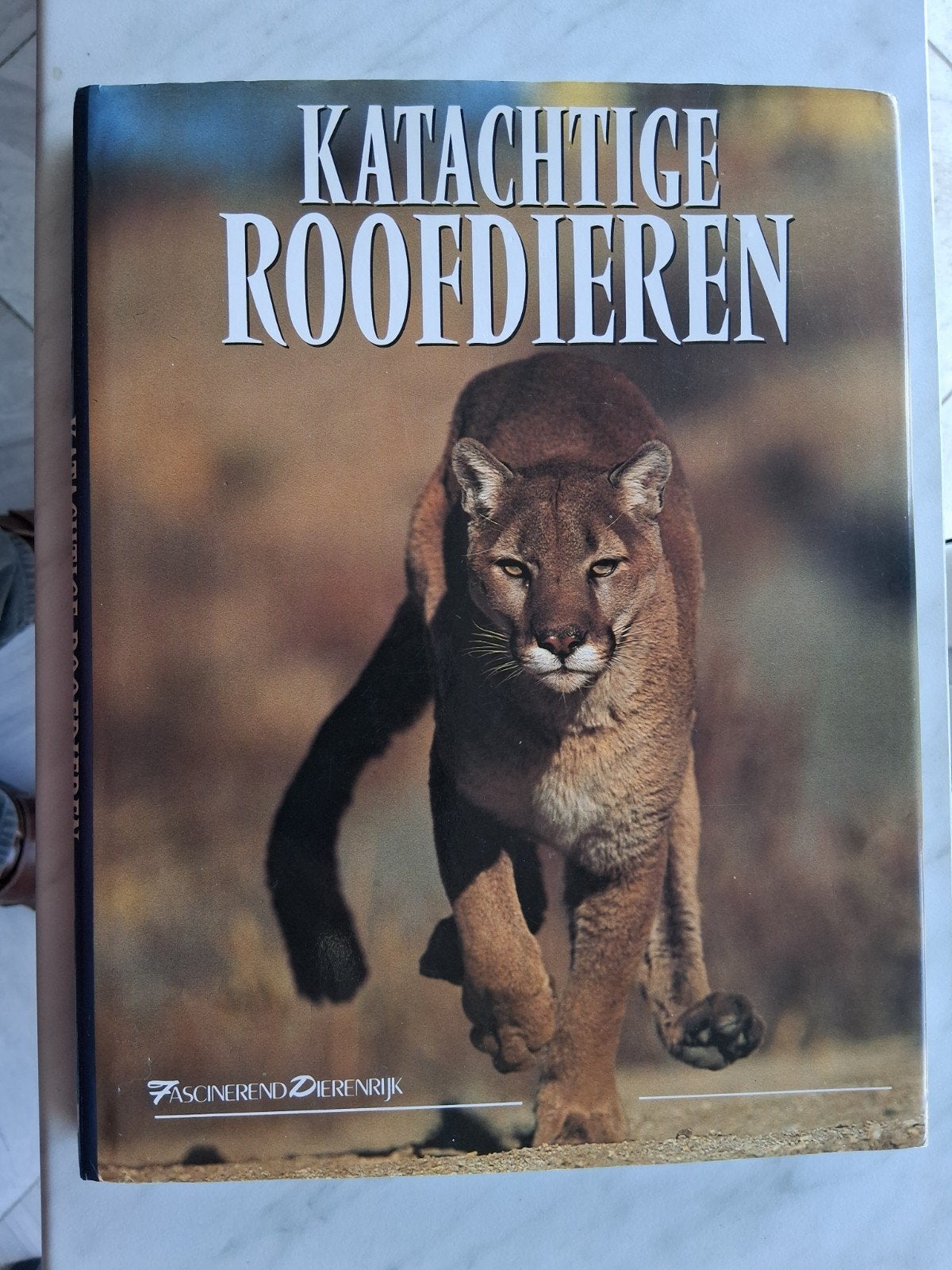 KATACHTIGE ROOFDIEREN  adviezen dr. John Seidensticker ea, Boeken, Natuur, Ophalen of Verzenden, Nieuw, Overige onderwerpen