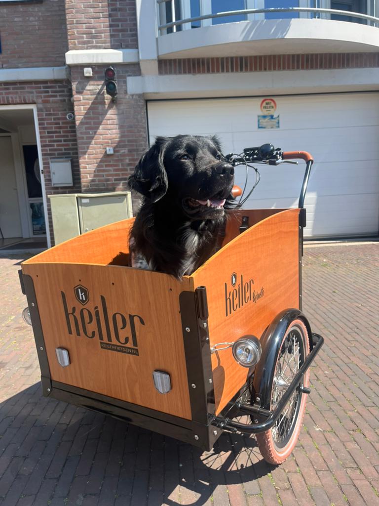 Elektrische bakfiets van Keiler, 2 kinderen, Ophalen, Overige merken, Nieuw