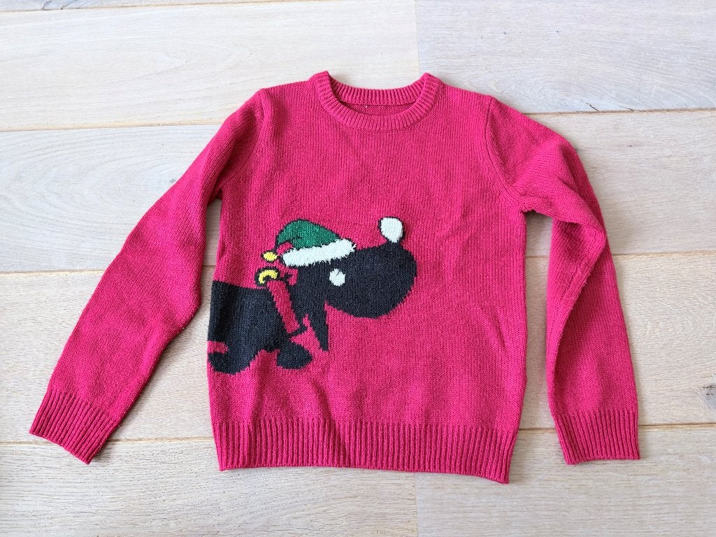 Takkie kersttrui 110/116, Gebruikt, Jongen of Meisje, Trui of Vest, Ophalen of Verzenden