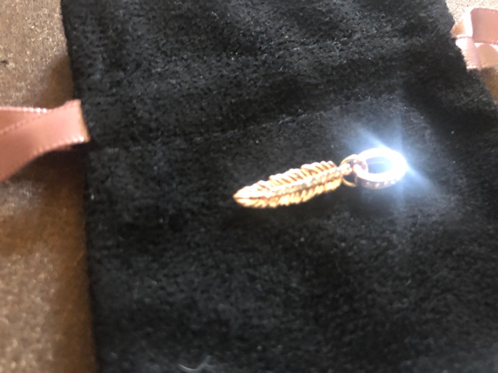 Gouden veer bedel voor bedelarmband, Overige merken, Gebruikt, Ophalen of Verzenden, 1 bedel