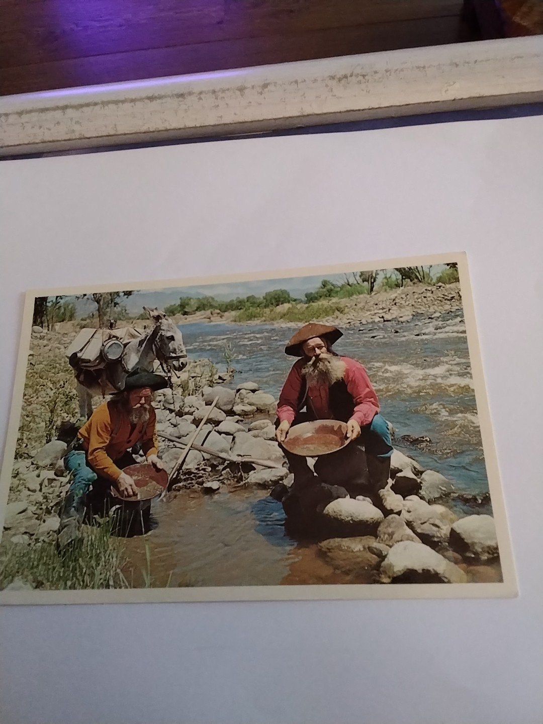 PANNING GOLD. TWEE GOUDZOEKERS, Ophalen of Verzenden