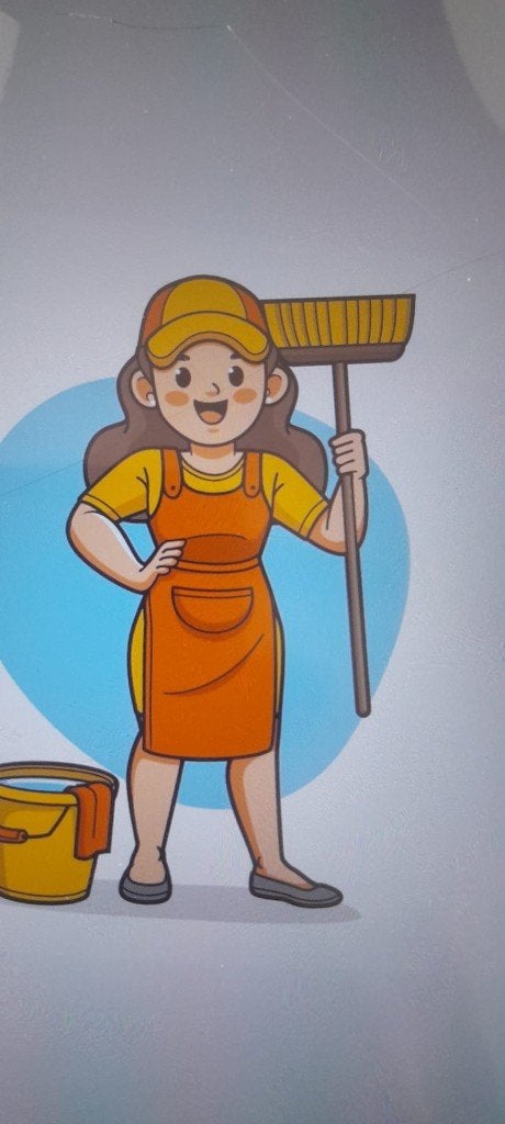 very experienced houshold cleaner, Vacatures, Vacatures | Schoonmaak en Facilitaire diensten, Overige vormen, Vanaf 3 jaar, Overige niveaus