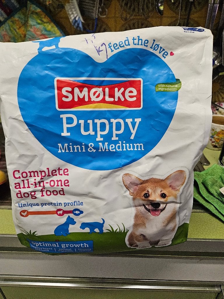 Smølke puppy mini/medium, Dieren en Toebehoren, Ophalen, Hond