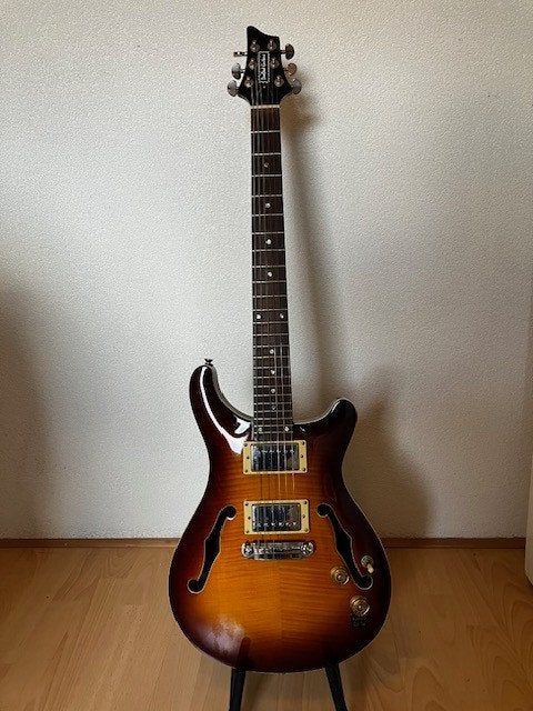 Doodad Teddy, Muziek en Instrumenten, Ophalen, Zo goed als nieuw, Semi-solid body, Overige merken
