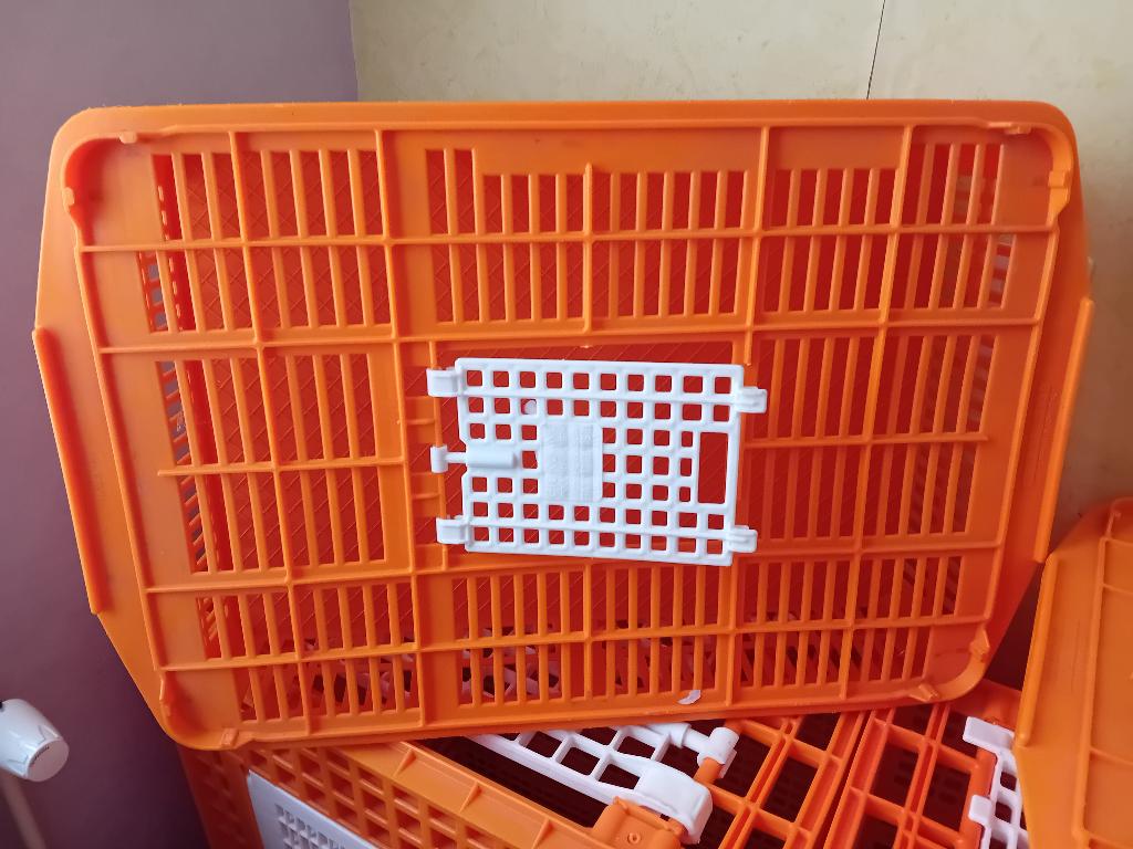 Pluimvee vervoerskratten, Geslacht onbekend, Overige soorten