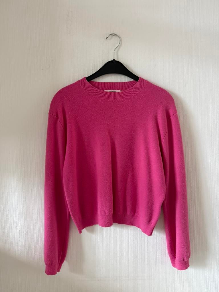 Daphnea paris valeb roze trui sweater Maat S/M, Ophalen of Verzenden, Gedragen, Maat 38/40 (M), Roze