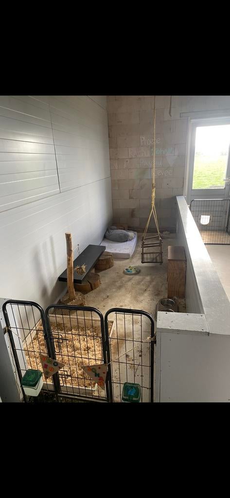 Afzetting (konijnen)hok. 403 cm x 147,5 cm, hoogte 76 cm., Dieren en Toebehoren, Ophalen, 60 tot 90 cm, Konijn, Hok