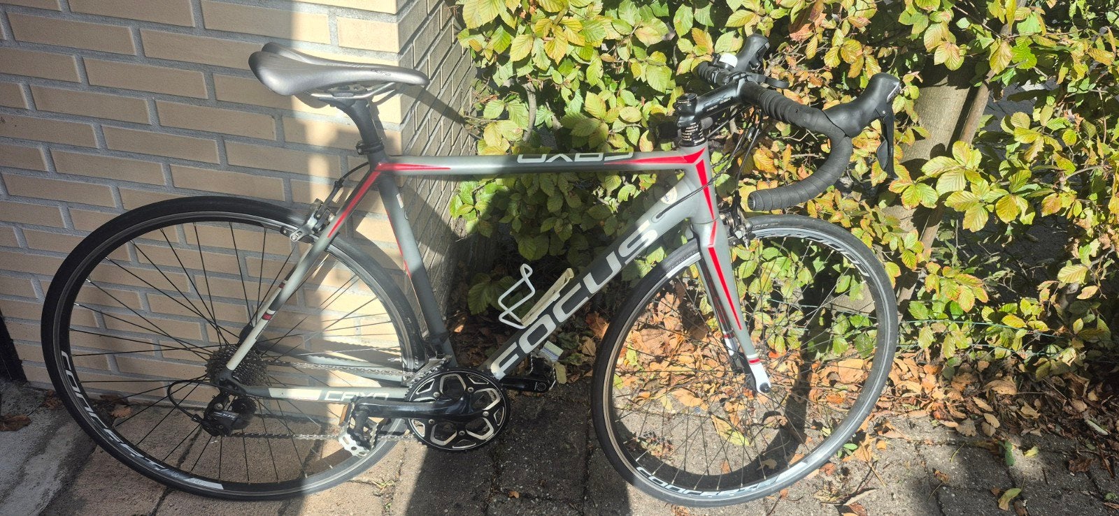Focus Cayo racefiets met Shimano 105, Fietsen en Brommers, 28 inch, Aluminium, Zo goed als nieuw, 15 tot 20 versnellingen