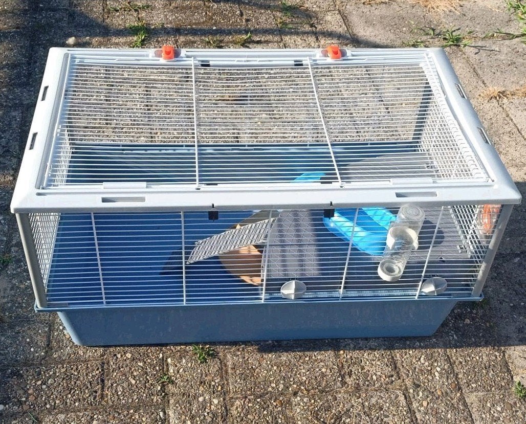 Leuke ferplast knaagdieren kooi., Dieren en Toebehoren, Ophalen of Verzenden