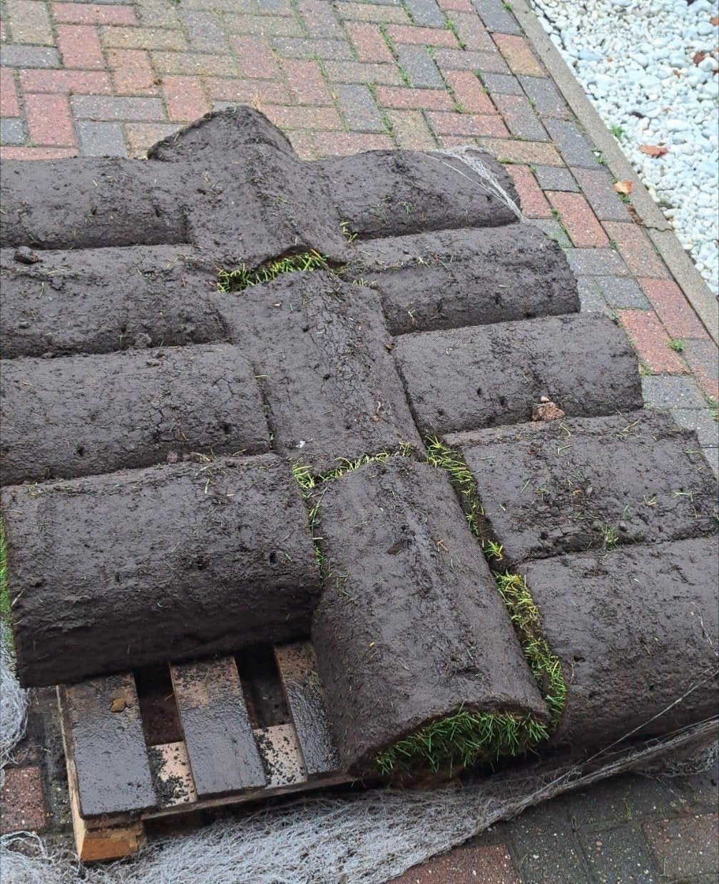 3 rollen vers gras (3m²) - Snel ophalen!, Ophalen, Nieuw, Minder dan 10 m², Gras