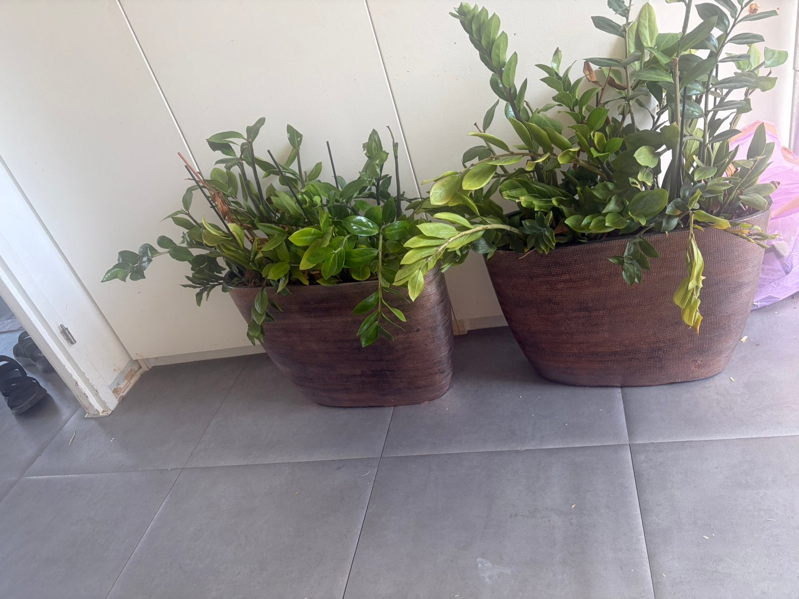 2x bloembakken met planten, Tuin en Terras, Ophalen, Zo goed als nieuw, Kunststof
