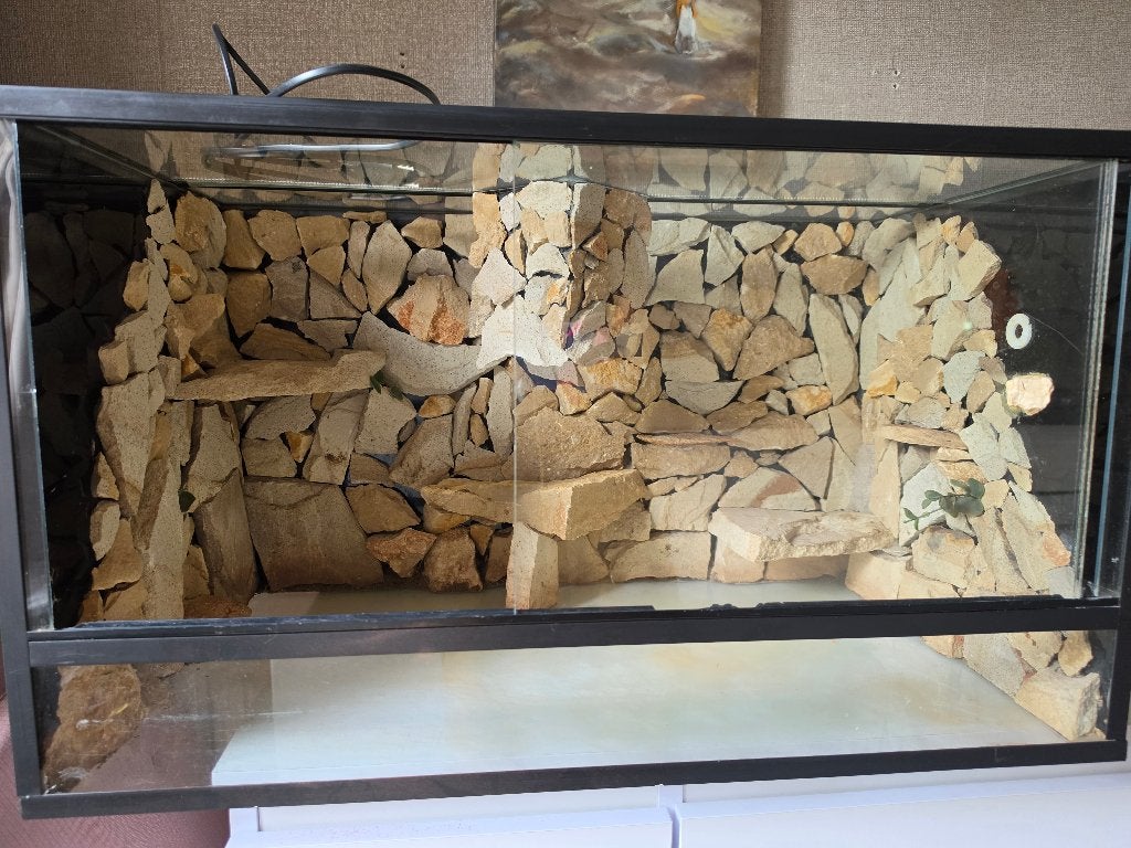T.e.a.b. Terrarium 70x40x50, Ophalen, Gebruikt, Terrarium of Paludarium