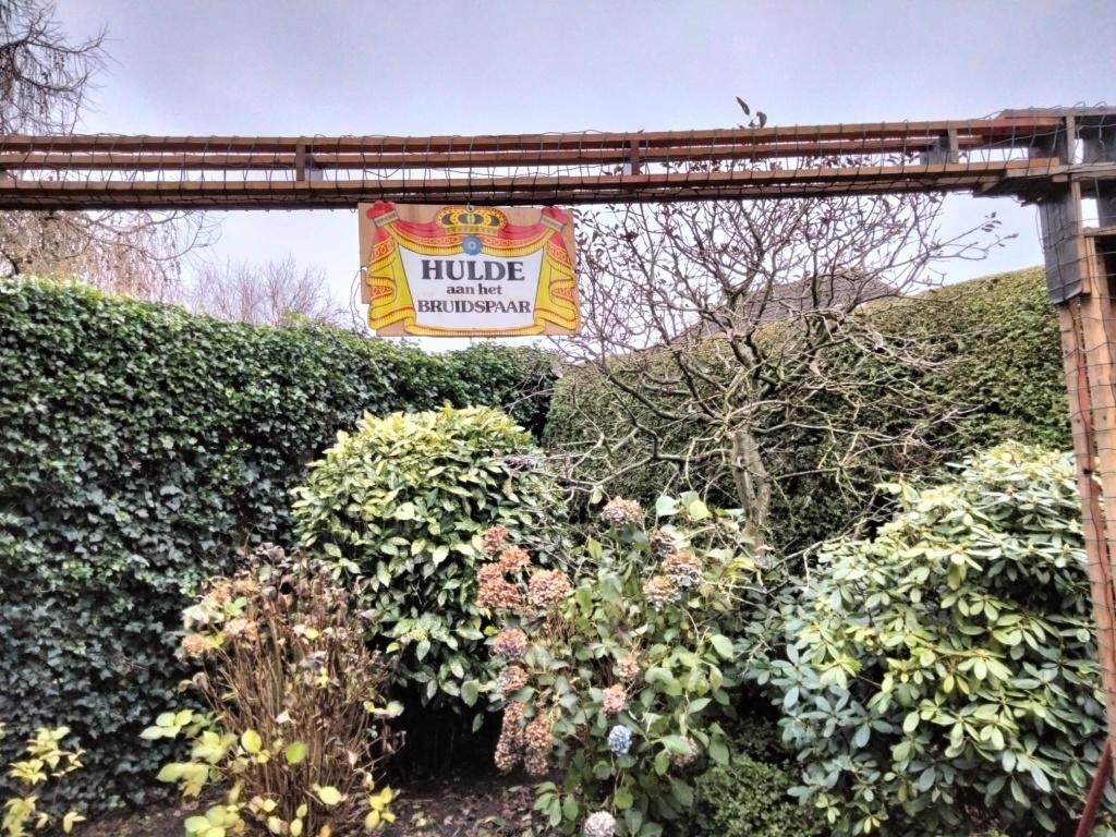 Te huur: jubileum boog, Ophalen, Zo goed als nieuw, Geboorte of Huwelijk