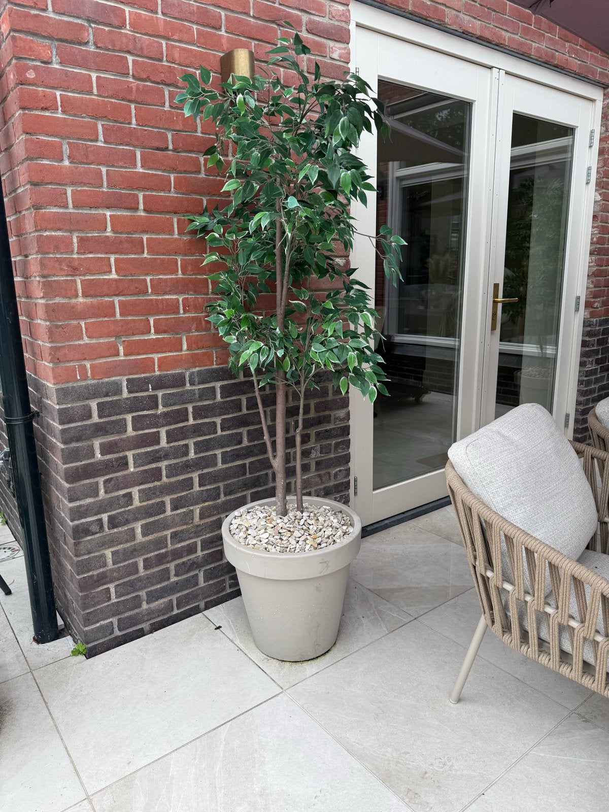 Grote kunstplant Ficus Benjamina met pot en stenen 3 stuks!, Ophalen, Binnen, Groen, Kunstplant