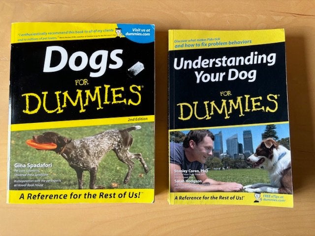 dogs for dummies - understanding your dog for dummies, Boeken, Hobby en Vrije tijd, Ophalen of Verzenden, Zo goed als nieuw, Tekenen en Schilderen