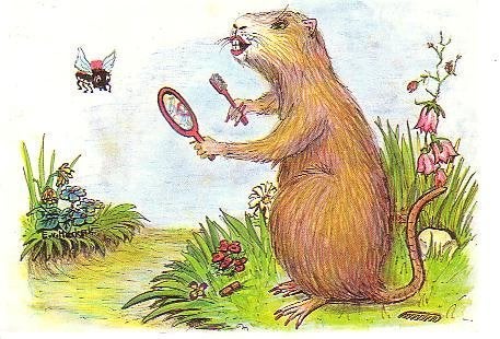 Ansichtkaart 	Rat, Verzamelen, Ansichtkaarten | Dieren, Verzenden, 1960 tot 1980, Gelopen, Knaagdier