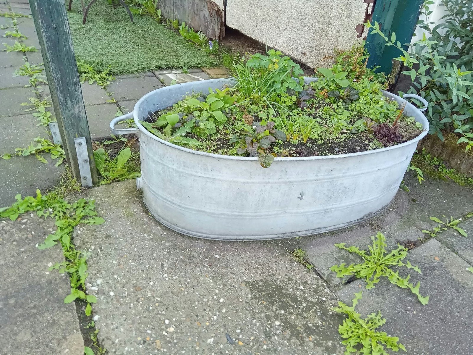 zinken kinder bad, Ophalen, Gebruikt, Minder dan 30 cm, Rond