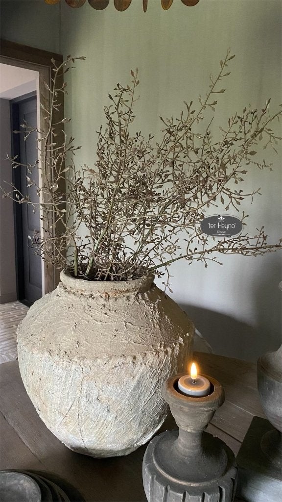 Corokia tak kunst takje corokiatak stoer sober landelijk, Nieuw, Ophalen of Verzenden, 104 cm, Binnen