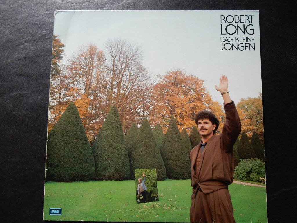 Robert Long - Dag kleine jongen (LP), Cd's en Dvd's, Vinyl | Nederlandstalig, Ophalen of Verzenden, Gebruikt, 12 inch, Levenslied of Smartlap