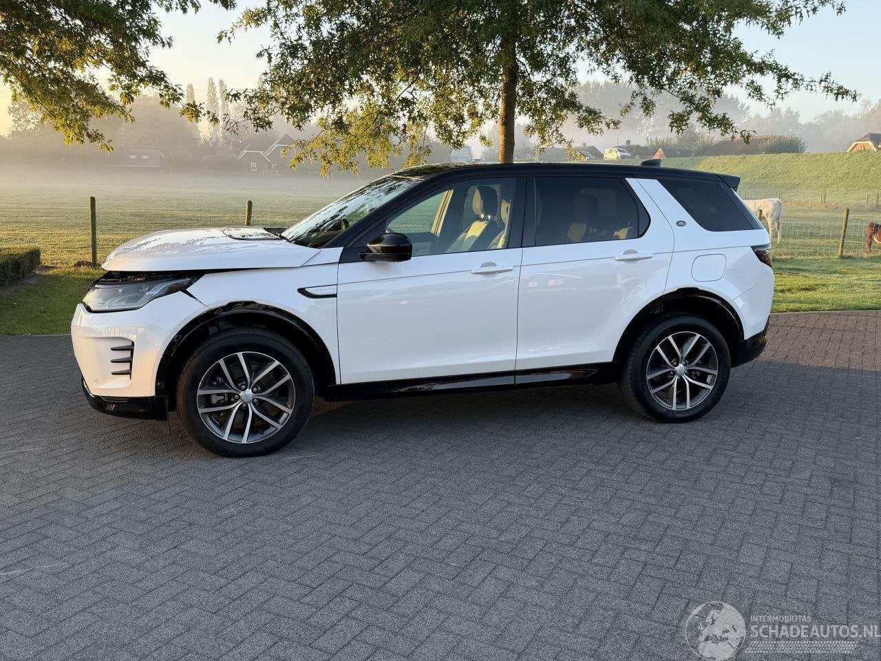 Land Rover Discovery Sport P270E AWD Plug-in Hybrid, Automaat, Wit, Hybride Elektrisch/Benzine, SUV of Terreinwagen