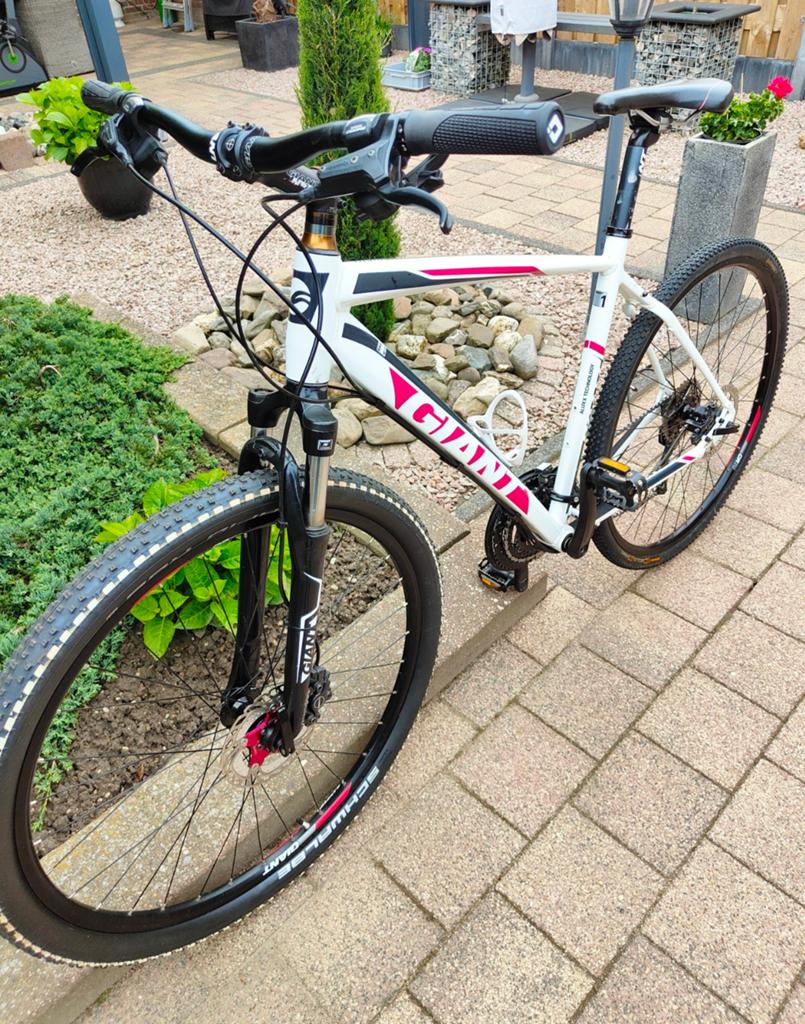 Giant Roam Mountainbike Wit/Rood - Maat L, Ophalen of Verzenden, Gebruikt, Schijfrem, Giant