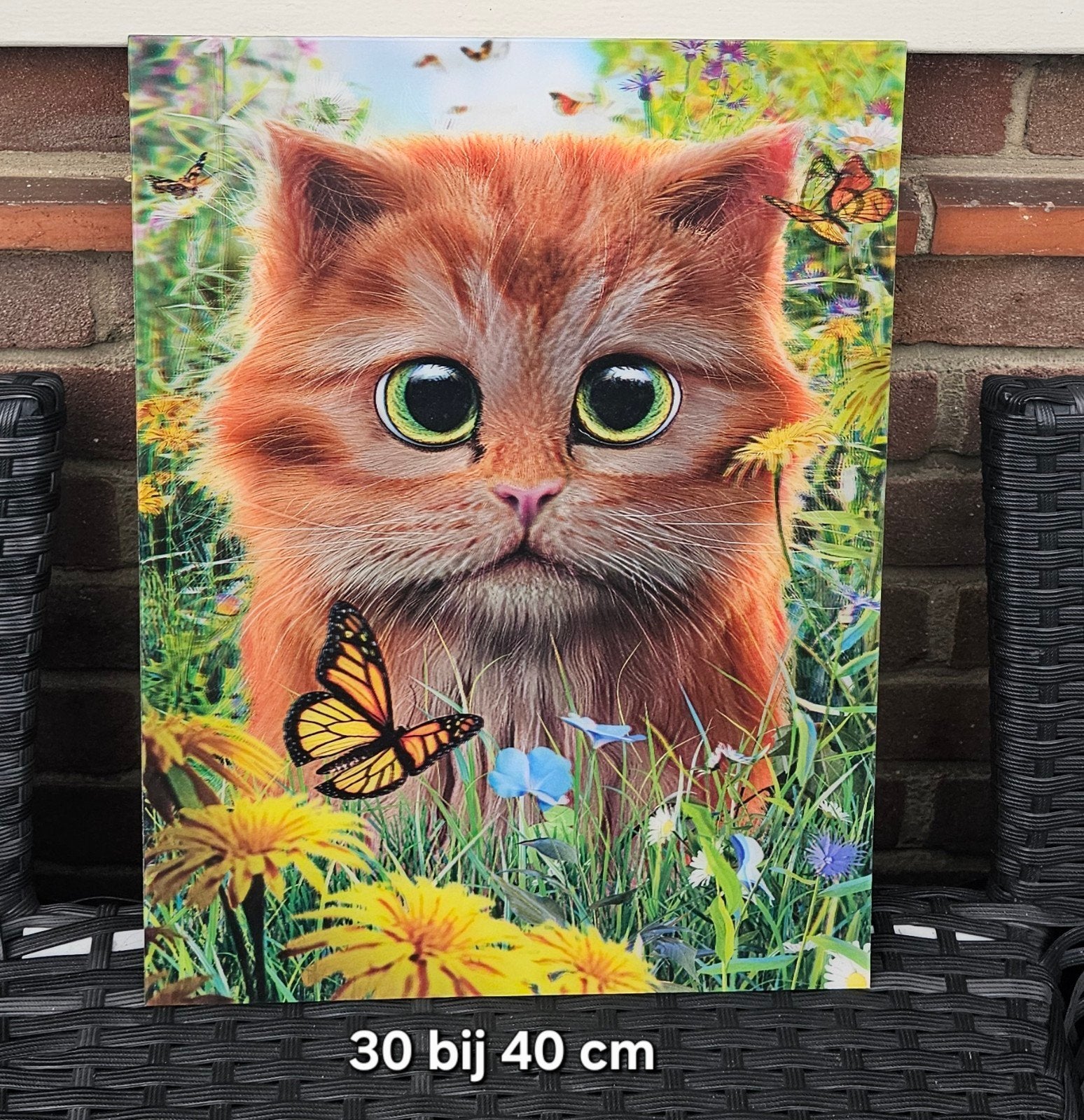 Schattige Kattenposter op Hart Karton - 30x40 cm, Minder dan 50 cm, Nieuw, Ophalen of Verzenden, Foto of Poster