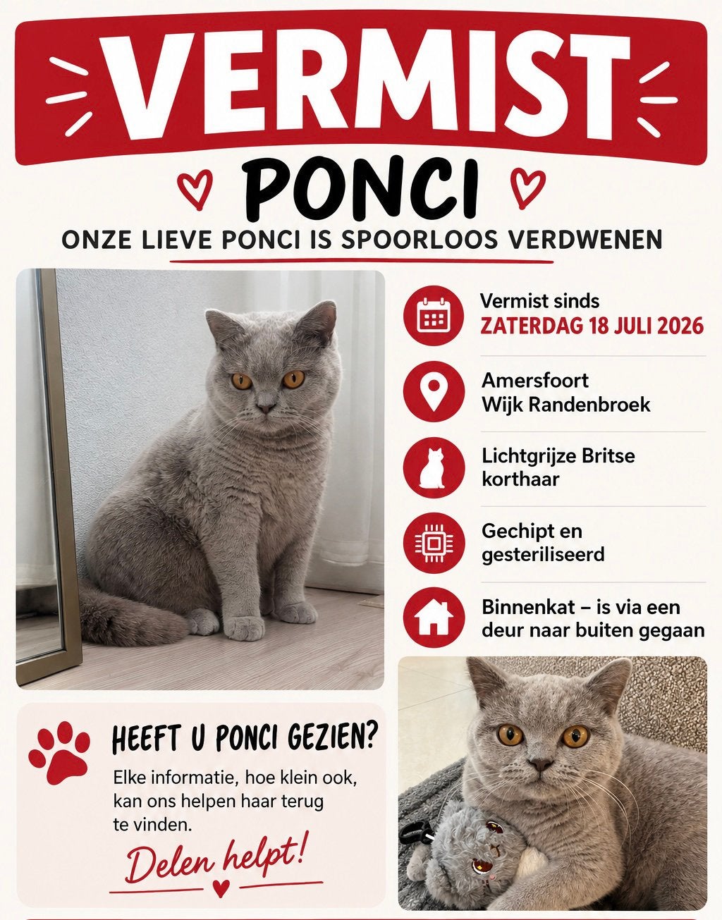 VERMIST BRITSE KORTHAAR, Kat