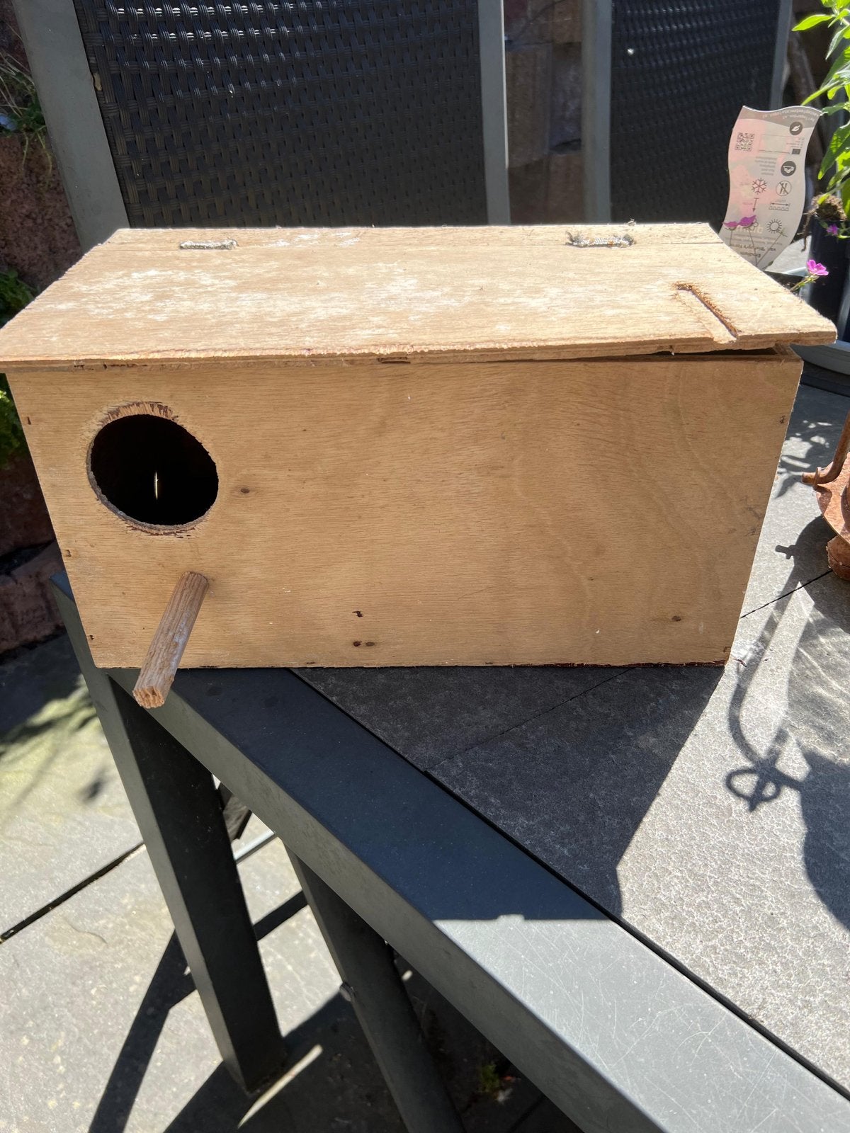 Broedhok voor vogels, Ophalen, Gebruikt, Hout, Broedkooi of Kweekkooi