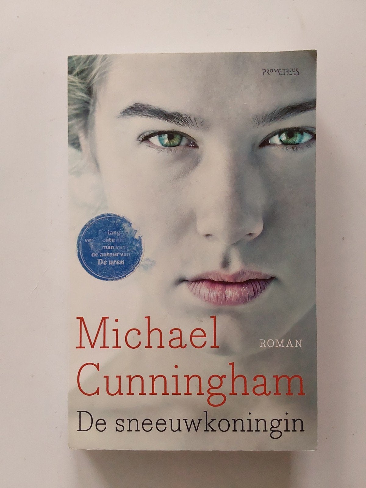 Michael Cunningham : De sneeuwkoningin, Boeken, Gelezen, Ophalen of Verzenden, Michael Cunningham, Amerika